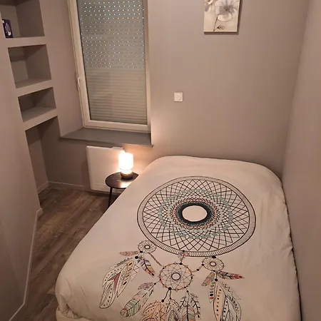 Etablissement Somoko Plusieurs Dans Un Seul Immeuble! Ideale Pour Voyager Ensemble En Toute Independance Daire Épinal