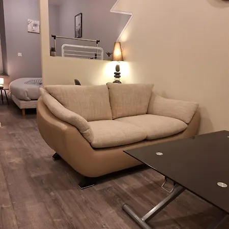 Etablissement Somoko Plusieurs Dans Un Seul Immeuble! Ideale Pour Voyager Ensemble En Toute Independance * Épinal