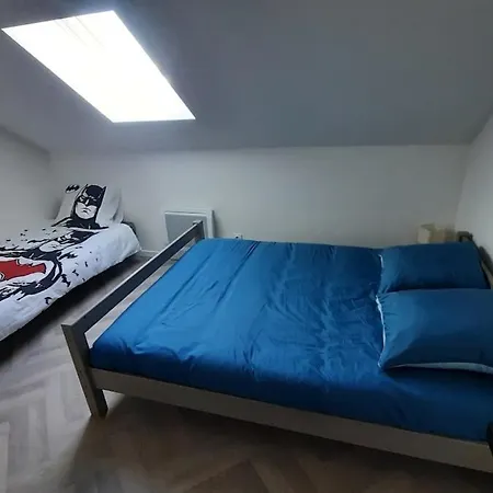 Etablissement Somoko Plusieurs Dans Un Seul Immeuble! Ideale Pour Voyager Ensemble En Toute Independance Épinal